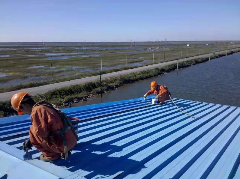 红旗钢结构屋面漏水原因